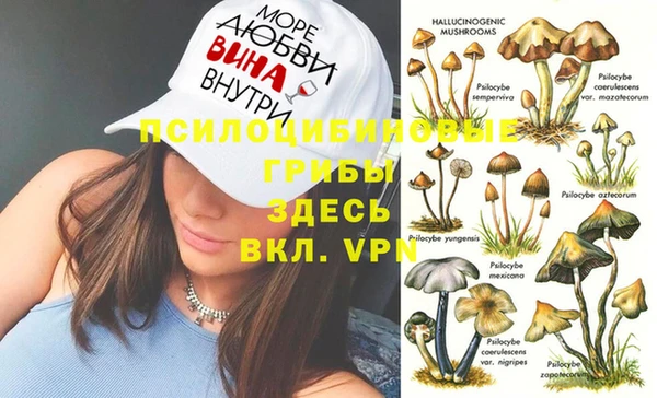 шишки Богородицк