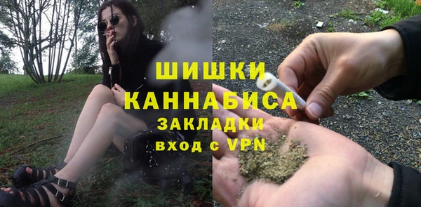 шишки Богородицк