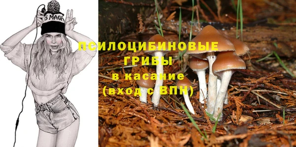 меф Богданович
