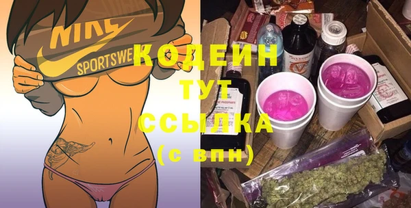 шишки Богородицк