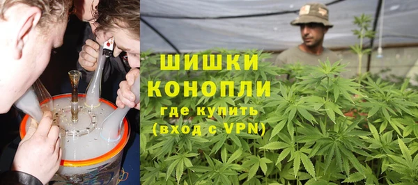 шишки Богородицк