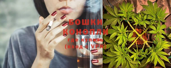 шишки Богородицк