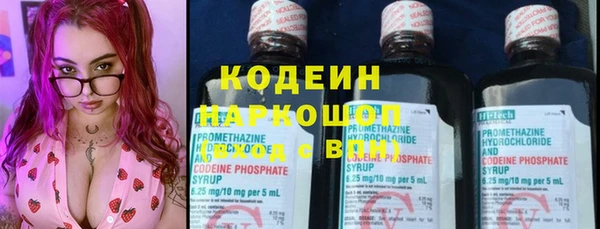 шишки Богородицк