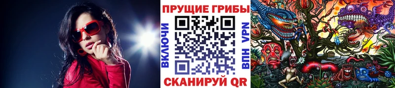 Псилоцибиновые грибы Cubensis  Михайлов 